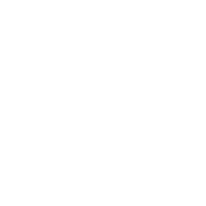 Roami Logo